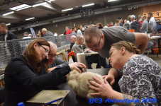 Antwerpen 2019DSC 0275