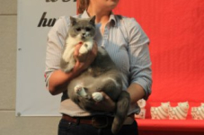 bcfturnhout 2014 0377