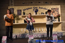 Antwerpen 2019DSC 0433
