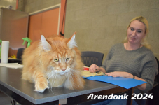 Arendonk 2024 338