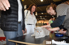 Show Laakdal 2022 0094