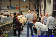 turnhout 2019-0136