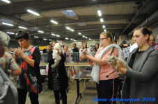 antwerp 2018 0316