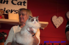 bcf antw 2010 281
