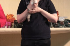 img 1509