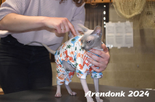 Arendonk 2024 128
