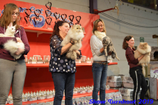 turnhout 2019-0327
