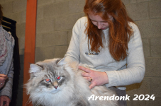 Arendonk 2024 124