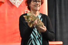Katttenshow Arendonk 2020 DSC 0737