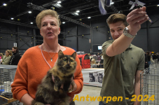 Antwerpen 235