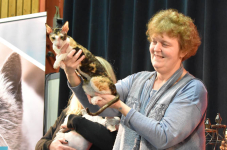Katttenshow Arendonk 2020 DSC 0636