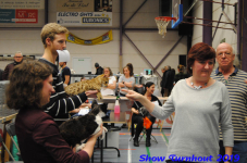 turnhout 2019-0116