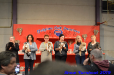 turnhout 2019-0456