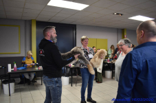 Katttenshow Arendonk 2020 DSC 0495