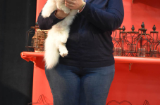 Katttenshow Arendonk 2020 DSC 0466