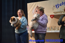 DSC 0219