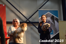 Laakdal 2023 449