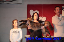 bcf antw 2010 252