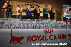 Antwerp 2022282