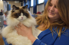 Show Laakdal 2022 0347