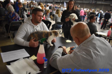 Antwerpen 2019DSC 0198