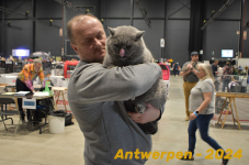 Antwerpen 173