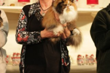 antw 2015 198