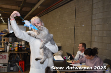 Schow Antwerpen 2023 165