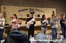 Antwerp 2022172