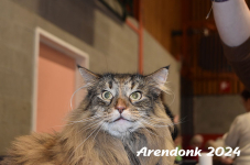 Arendonk 2024 328