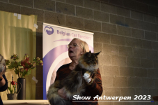 Schow Antwerpen 2023 411