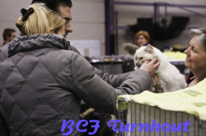  bcf ant 2011106
