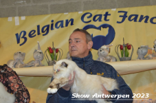 Schow Antwerpen 2023 313
