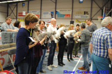 turnhout 2019-0199