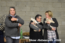 Antwerp 2022328