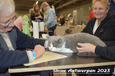 Schow Antwerpen 2023 149