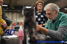 Antwerpen 2019DSC 0061