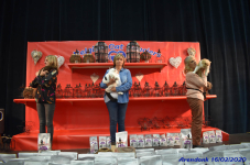 Katttenshow Arendonk 2020 DSC 0590