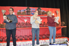 Katttenshow Arendonk 2020 DSC 0244