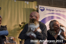Schow Antwerpen 2023 430