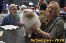 Antwerpen 209