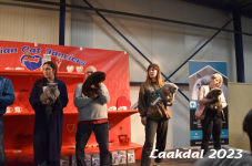 Laakdal 2023 412