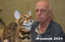 Arendonk 2024 315