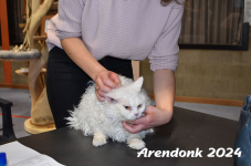 Arendonk 2024 107