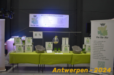 Antwerpen 066