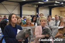 Laakdal 2023 406