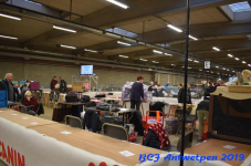 Antwerpen 2019DSC 0080
