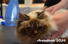 Arendonk 2024 050