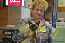 Katttenshow Arendonk 2020 DSC 0268