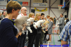 turnhout 2019-0198